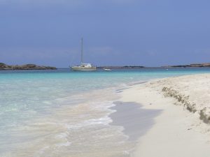 Playa de S’Alga